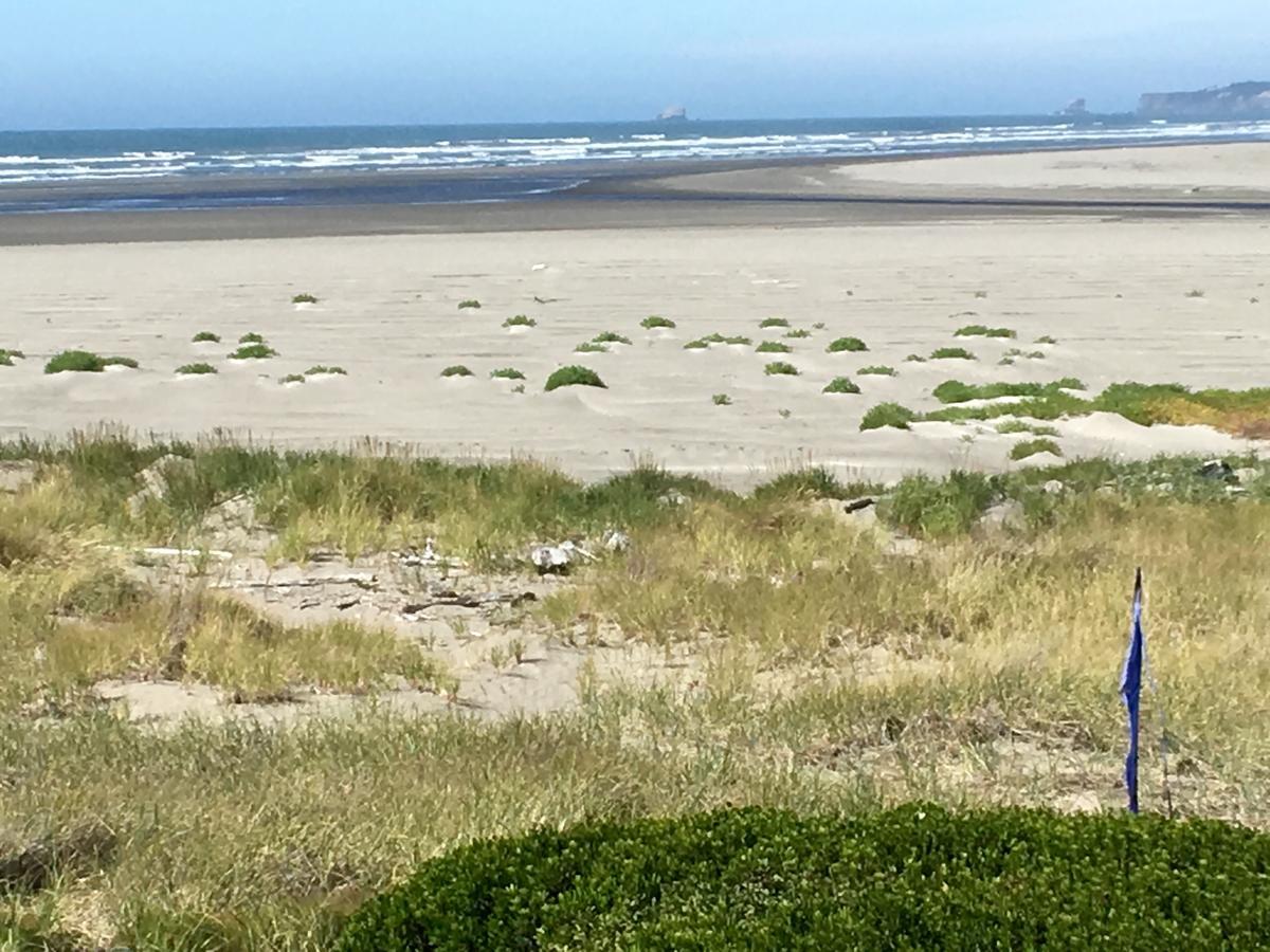Hi-Tide Ocean Beach Resort モクリプス エクステリア 写真